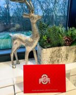 It’s always our pleasure to care for @theohiostateuniversity athletes! 

👉 Tap the link in our bio to schedule your consultation. 
____________________________
📞 614.245.4263
📍 Columbus, Ohio
🌐 smithfacialplastics.com
👤 Facebook: Smith Facial Plastics
▶️ YouTube: smithfacialplastics
🎵 TikTok: smithfacialplastics
#ModaEsthetica